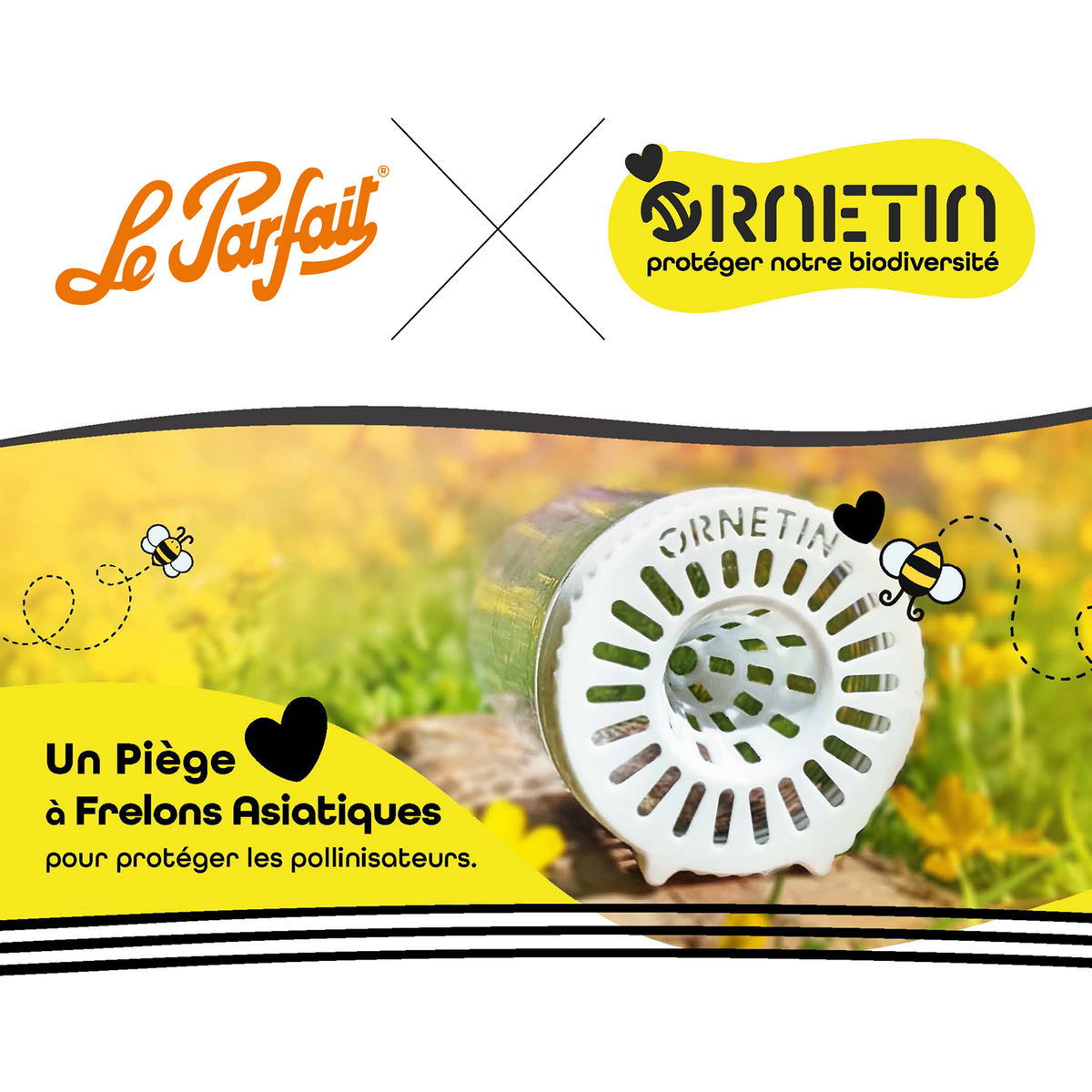 Comment piéger les frelons asiatiques au printemps ?