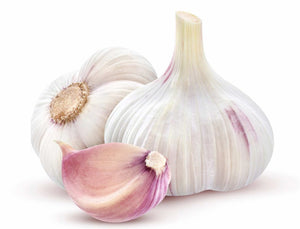 Knoblauch