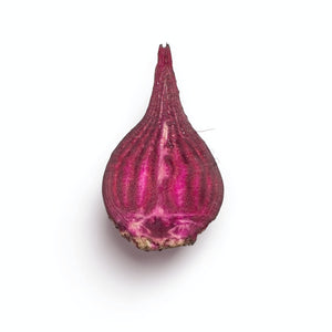 Rübe