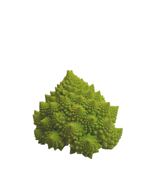 Romanesco-Kohl