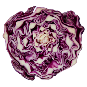 Rotkohl