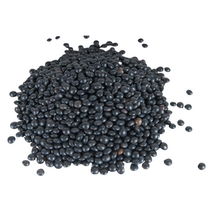 Linsen