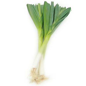 Lauch