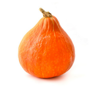 Kürbis