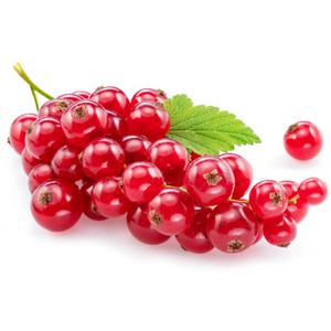 Johannisbeere