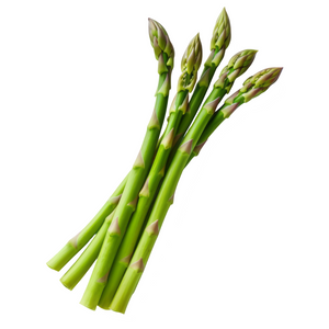 Spargel