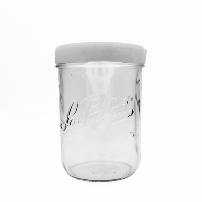 Asian hornet trap "Familia Wiss 750" Ø 100 - Le Parfait X Ornetine