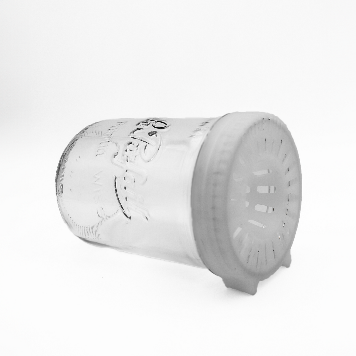 Aziatische Hornet Trap "Familia Wiss 750" Ø 100 - Le Parfait X ornetine