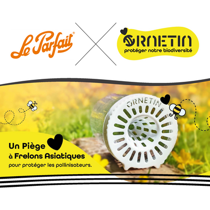 Asian hornet trap "Familia Wiss 750" Ø 100 - Le Parfait X Ornetine