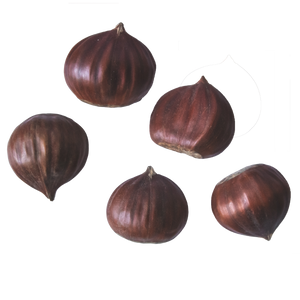 Kastanie