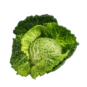 Kohl