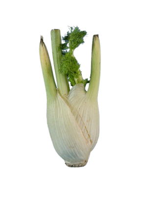 Fenchel