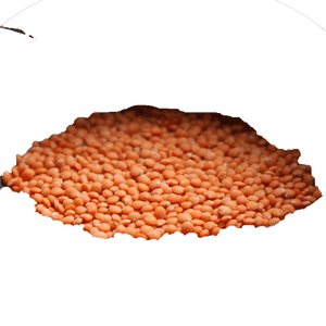 Koraallenzen