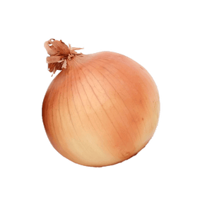 Zwiebel